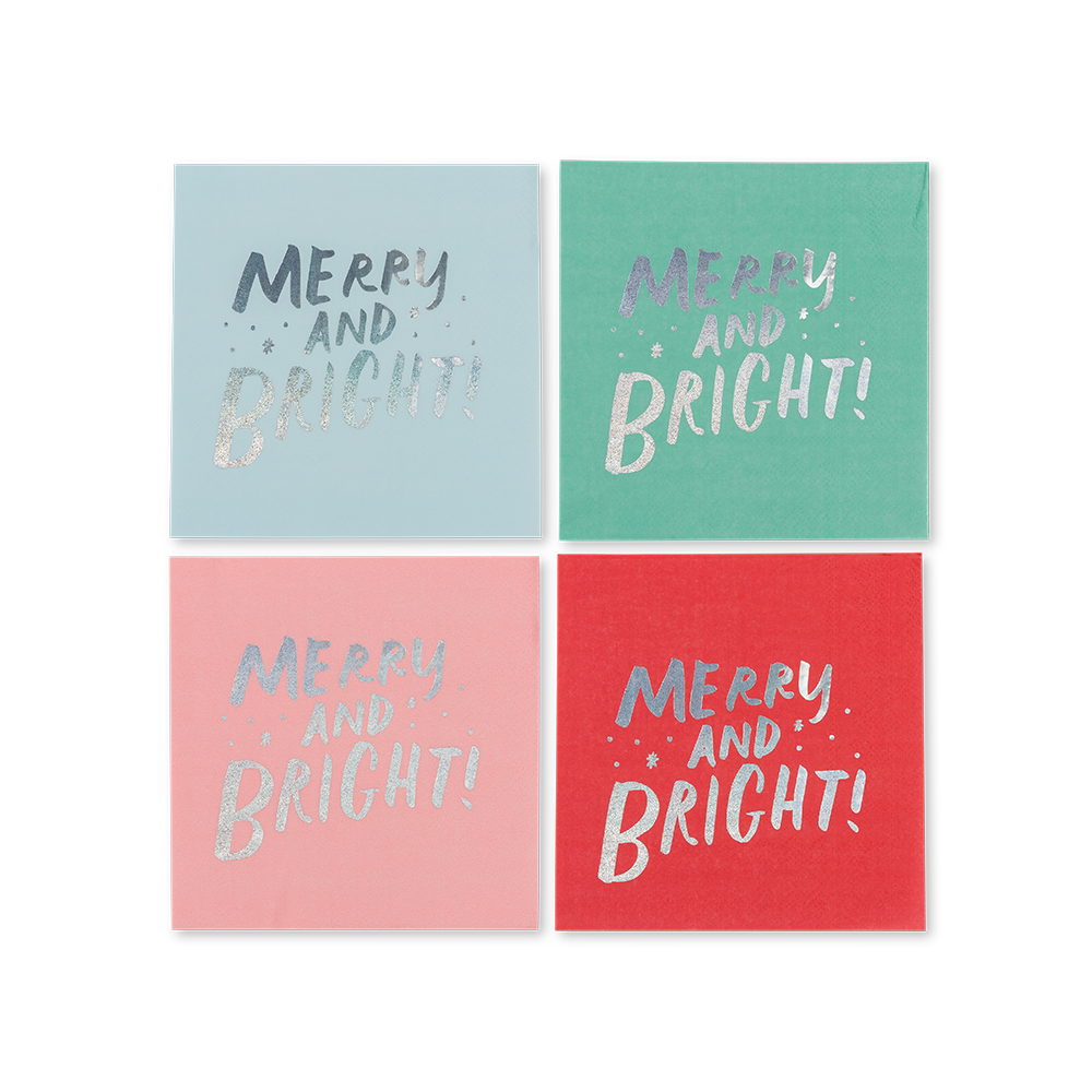 Snow Day Petite Napkins - 16 Pk. Jollity & Co. + Daydream Society 0 Faire Bonjour Fete - Party Supplies