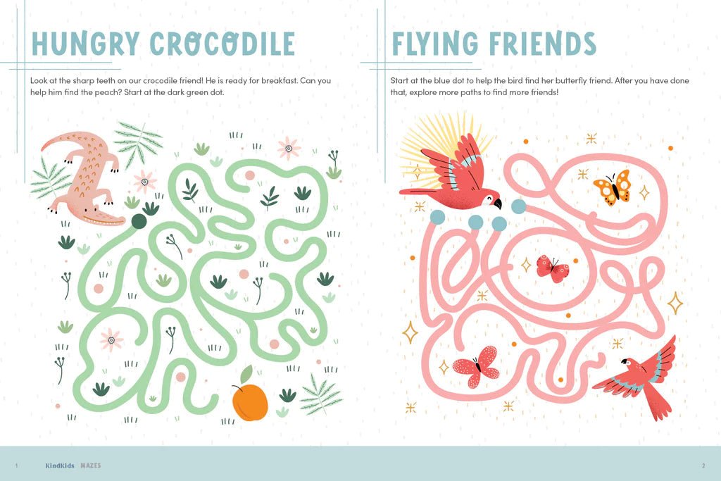 KINDKIDS FUN MAZES Schiffer Publishing Books For Kids Bonjour Fete - Party Supplies