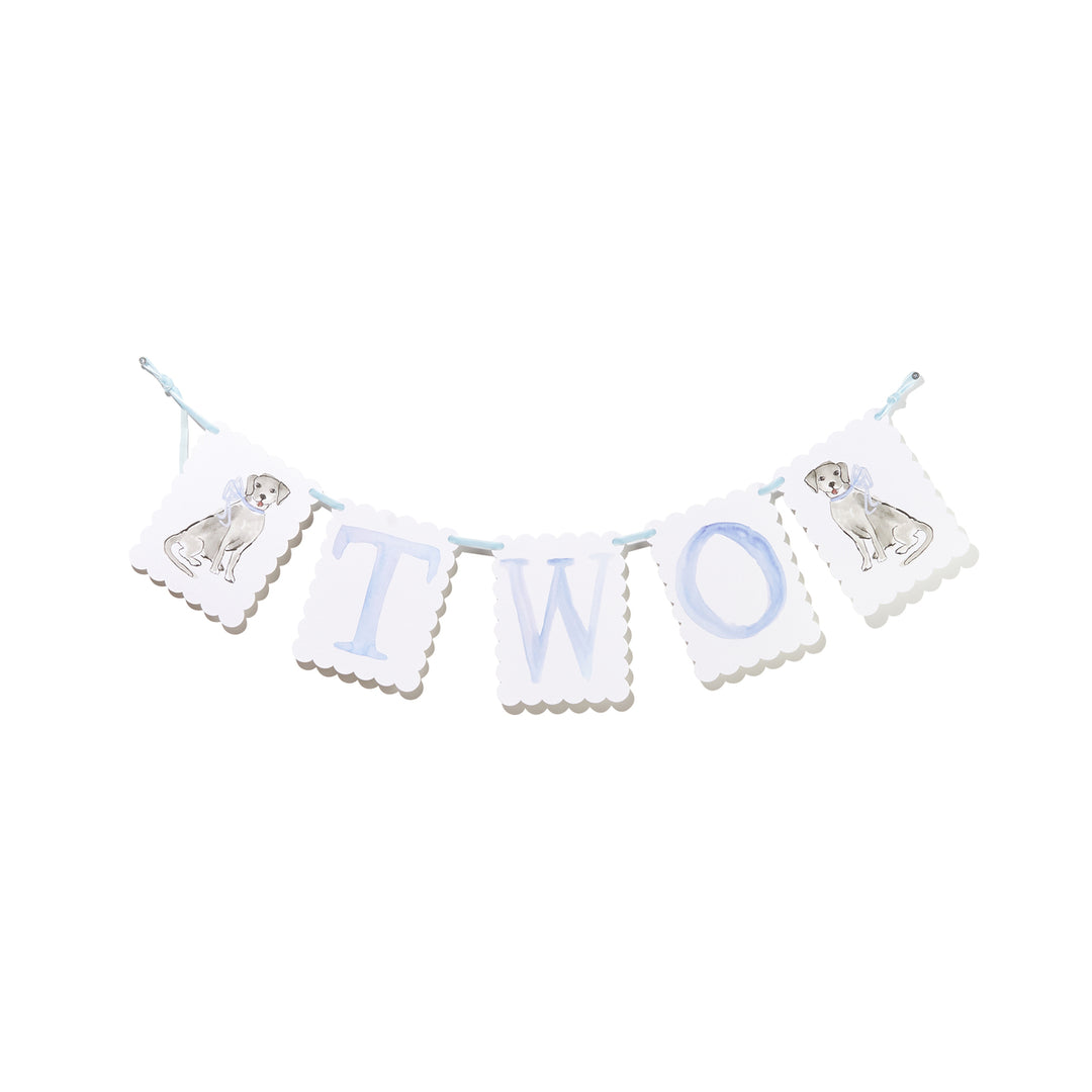 BLUE "TWO" BIRTHDAY BANNER BY OVER THE MOON Over The Moon Bonjour Fete - Party Supplies