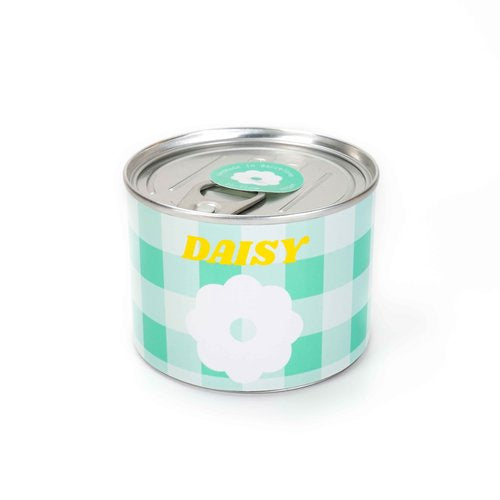 DAISY CANDLE to:from Home Candle Bonjour Fete - Party Supplies