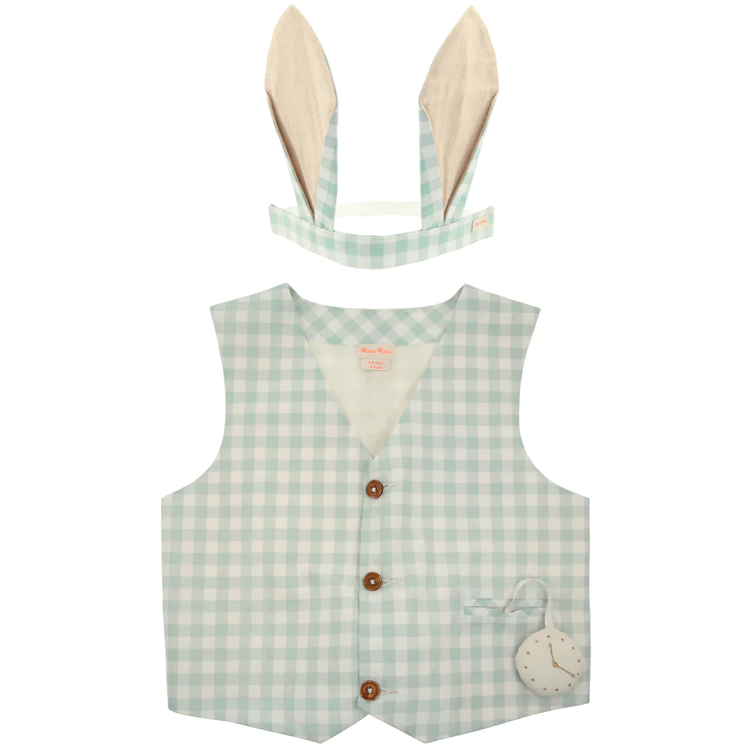 GINGHAM BUNNY COSTUME