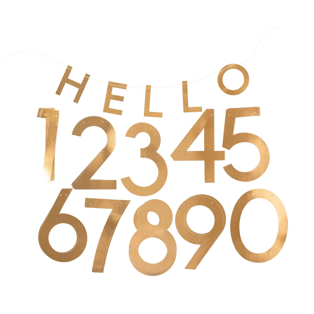 HELLO NUMBER BANNER My Mind’s Eye Garlands & Banners Bonjour Fete - Party Supplies