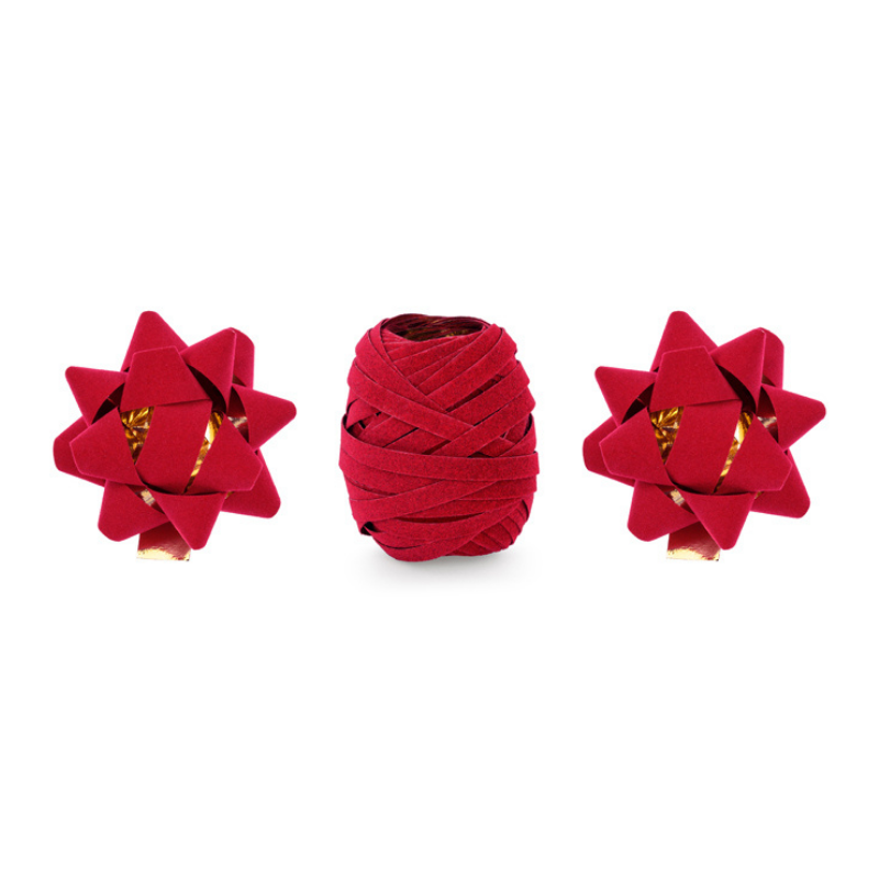SET OF VELOR RED RIBBONS AND ROSETTES - MIX Party Deco Christmas Ribbon Bonjour Fete - Party Supplies