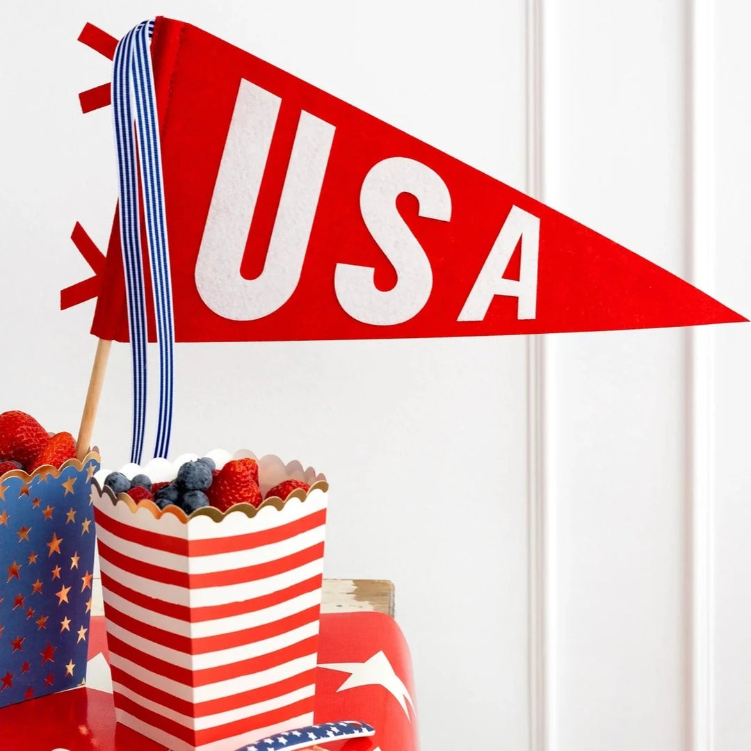 USA RED FELT PENNANT FLAG My Mind’s Eye 0 Faire Bonjour Fete - Party Supplies
