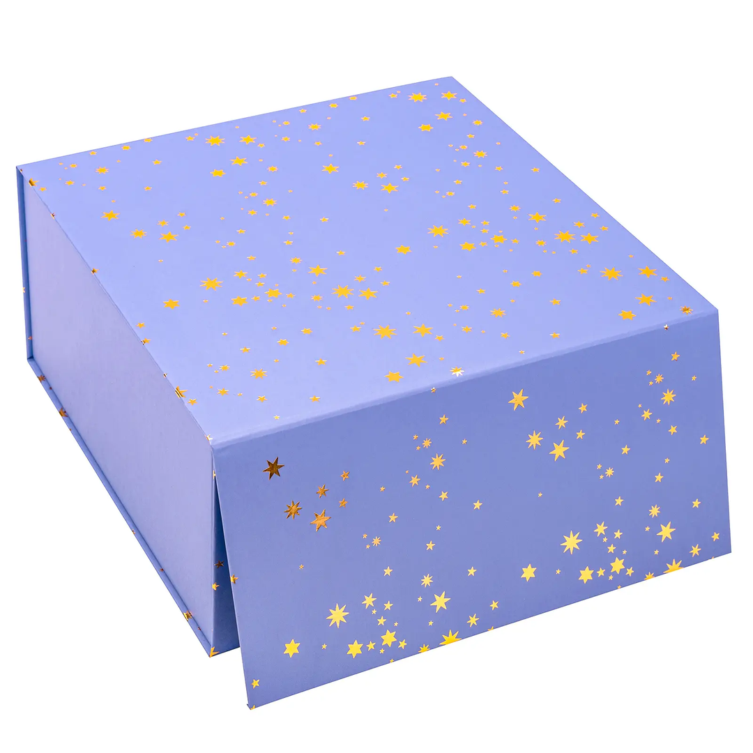 VIOLET MAGNETIC CLOSURE GIFT BOX Wrapaholic Gifts & Packing Company Gift Box Bonjour Fete - Party Supplies