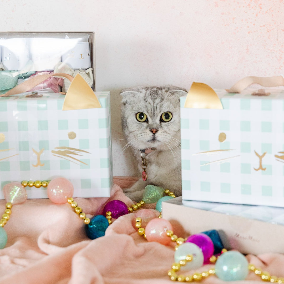 WOODEN CAT ADVENT CALENDAR SUITCASE Meri Meri Advent Calendars Bonjour Fete - Party Supplies