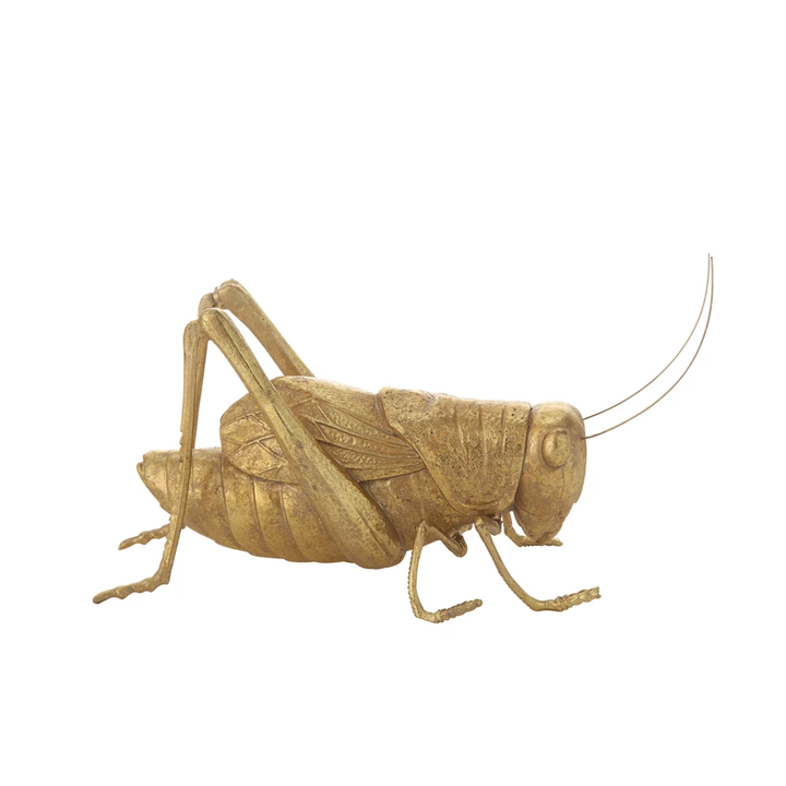 RESIN CRICKET Creative Co-op Home Decor Bonjour Fete - Party Supplies