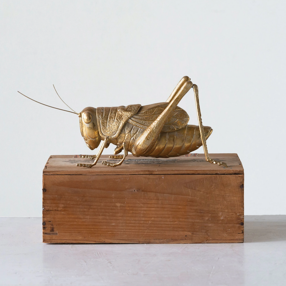 RESIN CRICKET Creative Co-op Home Decor Bonjour Fete - Party Supplies