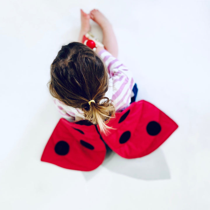 Ladybug Costume Bonjour Fete Party Supplies Kid's Accessories & Costumes