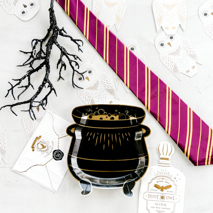 Spellbound Owl Banner Set Bonjour Fete Party Supplies Halloween Party Decorations