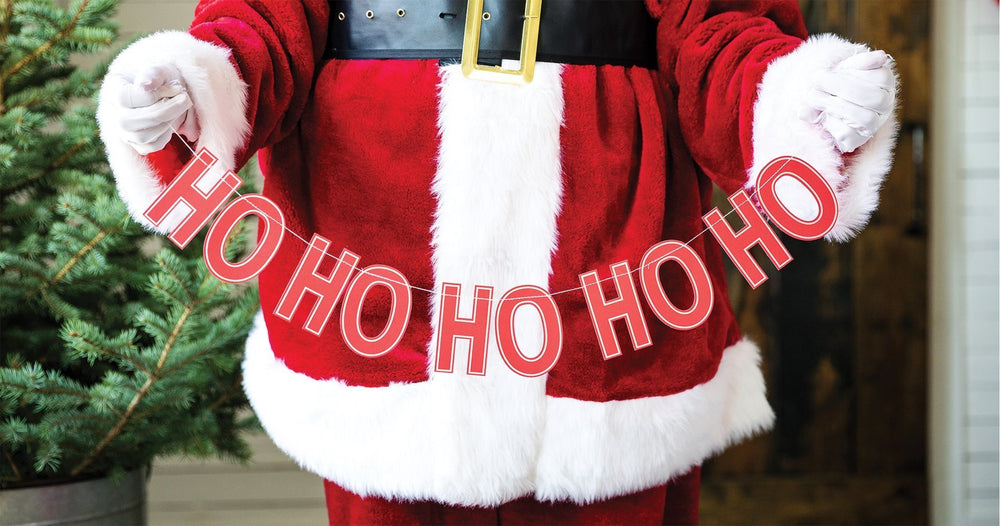 HO HO HO CHRISTMAS HOLIDAY BANNER My Mind's Eye Christmas Party Decor Bonjour Fete - Party Supplies