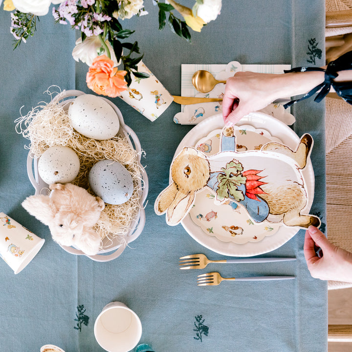 PETER RABBIT AND FRIENDS PLATES Meri Meri Plates Bonjour Fete - Party Supplies