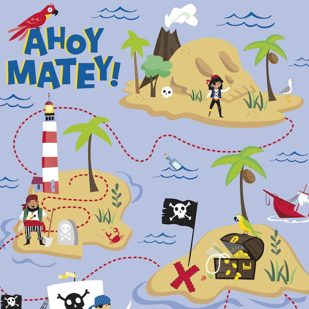 Pirate Party Game Bonjour Fête  Bonjour Fete - Party Supplies