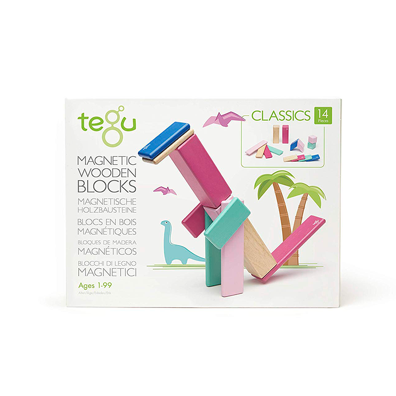 SMALL BLOSSOM SET OF MAGNETIC WOODEN BLOCKS BY TEGU Tegu Toy Bonjour Fete - Party Supplies