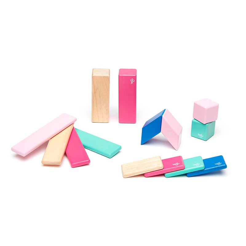 SMALL BLOSSOM SET OF MAGNETIC WOODEN BLOCKS BY TEGU Tegu Toy Bonjour Fete - Party Supplies